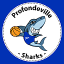 Profondeville Sharks B